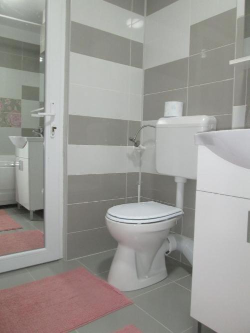 Apartament Sarra Targoviste Eksteriør bilde